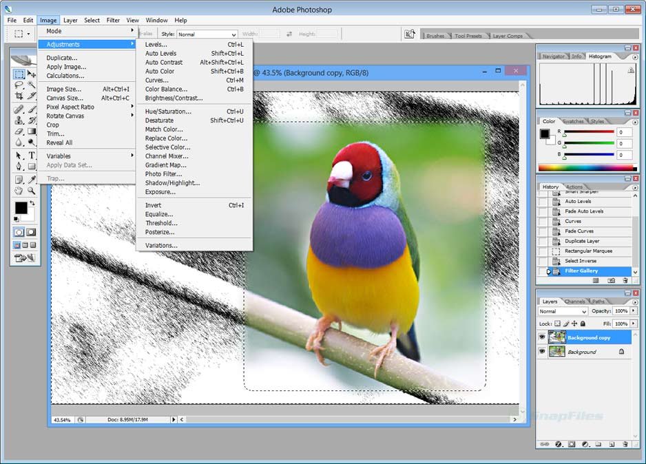 Photoshop Cs Features